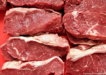 El Gobierno cierra por un mes las exportaciones de carne