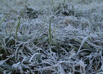 El frío más intenso: 10,6 bajo cero midió el INTA Rafaela