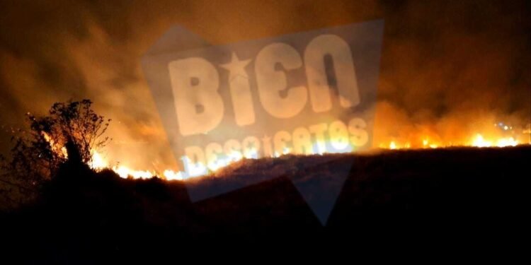 Incendio en un predio de avenida Luis Maggi