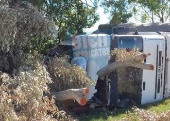 RN 34: Se fue a la cuneta y partió al medio un eucalipto