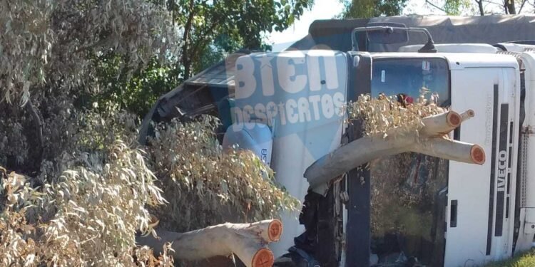 RN 34: Se fue a la cuneta y partió al medio un eucalipto