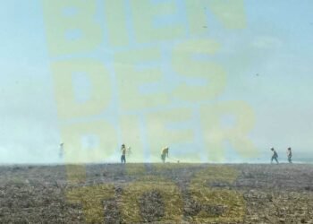 Intenso trabajo de bomberos voluntarios en un incendio de pastizales en la zona norte de la ciudad