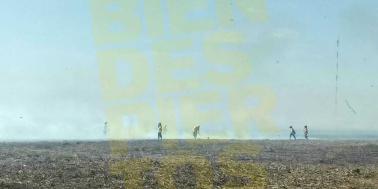 Intenso trabajo de bomberos voluntarios en un incendio de pastizales en la zona norte de la ciudad