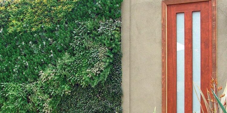 El municipio capacitará en jardines verticales y muros verdes