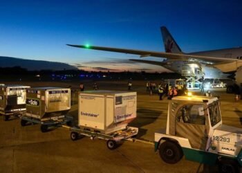 En los próximos días llegarán casi 5 millones de vacunas al país