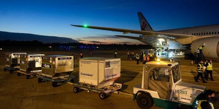 En los próximos días llegarán casi 5 millones de vacunas al país