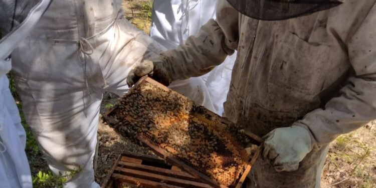 Ofrecen capacitaciones para formar nuevos operarios agrícolas