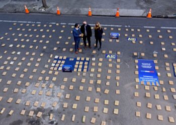 Destruirán droga incautada en procedimientos policiales en la provincia