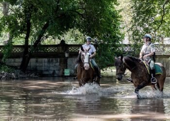 Al menos 44 muertos por las inundaciones en Nueva York