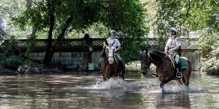 Al menos 44 muertos por las inundaciones en Nueva York