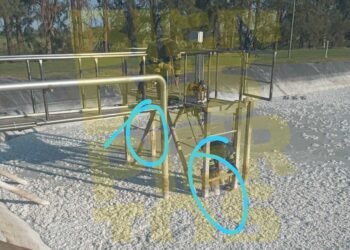 Bomberos rescataron a tres perros que habían caído a los piletones de decantación de Ilolay