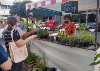 Un día para fomentar la huerta y el consumo de alimentos de estación
