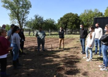 Se avanza en la creación de huertas comunitarias productivas