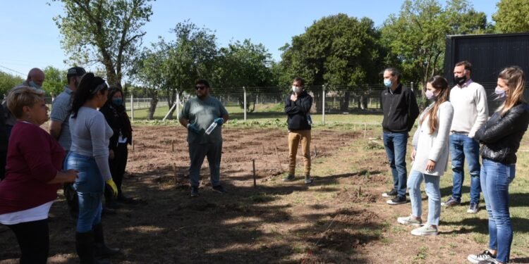 Se avanza en la creación de huertas comunitarias productivas