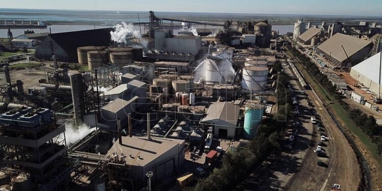 Imputaron a 14 directivos de Vicentin por estafa y defraudación