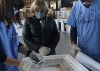 Extienden al sábado la vacunación en el Hospital y llegan dosis de Pfizer a Rafaela