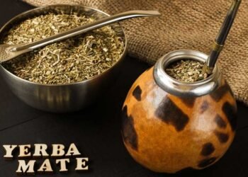 El mate: una infusión tradicional que aporta nutrientes e impacta en las emociones