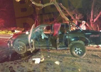 Familia accidentada: chocaron un árbol caído sobre la calzada