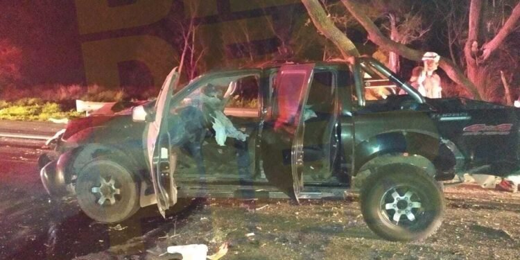 Familia accidentada: chocaron un árbol caído sobre la calzada