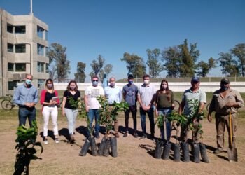 Se plantaron 100 árboles en distintos clubes de la ciudad