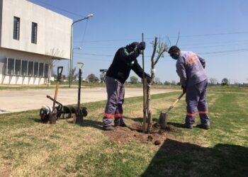 Fin del plan de forestación 2021: Rafaela cuenta con 2500 nuevos árboles