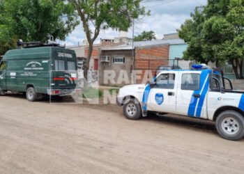 Tras una denuncia anónima, secuestraron plantas de marihuana