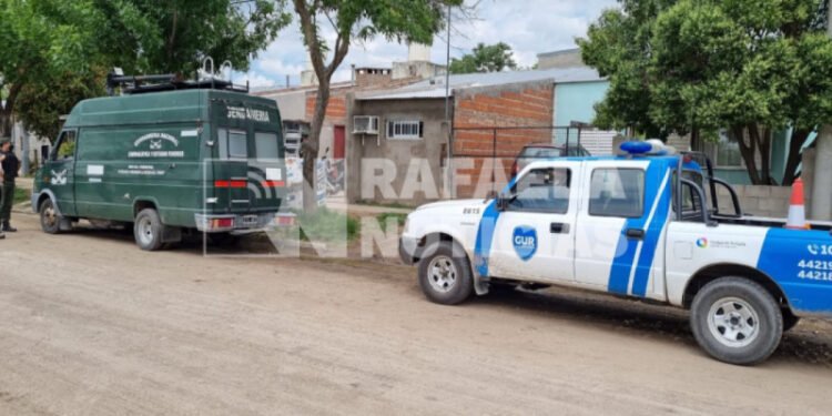 Tras una denuncia anónima, secuestraron plantas de marihuana
