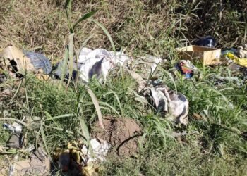 Desechos urbanos: un golpe a la ruralidad