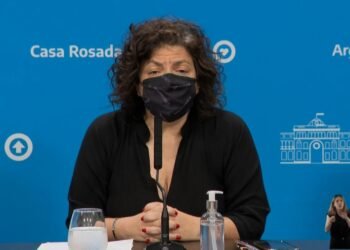 Vizzotti: «La información difundida sobre el crucero Hamburg es falsa»