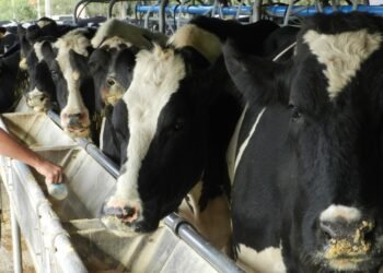 Entregaron aportes a tamberos del departamento 9 de Julio