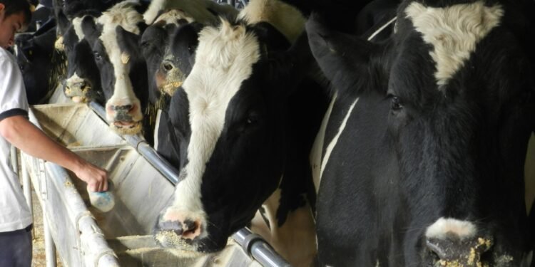 Entregaron aportes a tamberos del departamento 9 de Julio