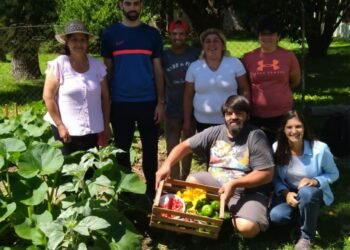 Avanza la producción en huertas comunitarias de la ciudad