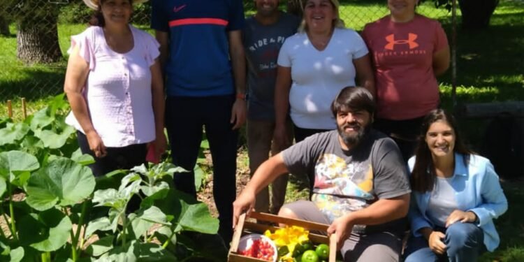 Avanza la producción en huertas comunitarias de la ciudad