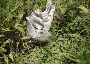 Cazaba en la prolongación de Avda. Italia y encontró 3,5 kg de marihuana