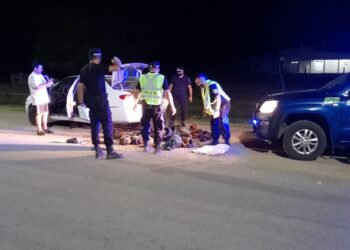 Rafaelinos «for export»: robaban cobre de un predio de la EPE en Providencia