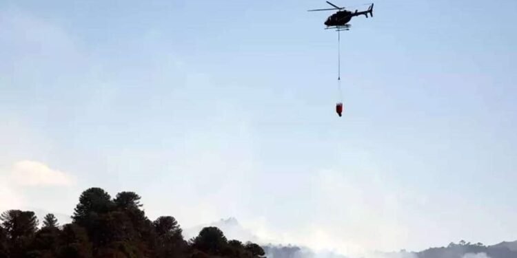 Cayó un helicóptero hidrante que combatía incendios y murieron sus dos ocupantes