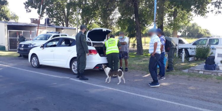 Un rafaelino intentó pasar un control con 8 kilos de cocaína escondidos en bolsas de papas