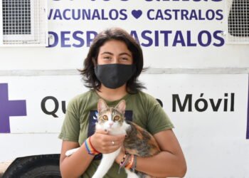 El Quirófano Móvil traslada sus servicios al barrio Barranquitas