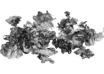 Se inaugura en el Museo Histórico la muestra del Programa de Artistas de LAVA