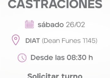 Este sábado habrá una nueva jornada especial de castraciones