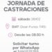 Este sábado habrá una nueva jornada especial de castraciones