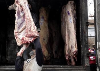 Cortes Cuidados: comenzó a regir el nuevo acuerdo de precios de la carne