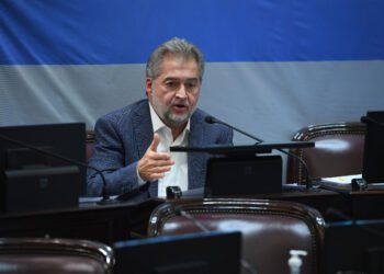 Mirabella presentó un proyecto para avanzar hacia el «alcohol cero» a todos los conductores del país