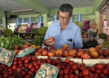 Crearán un fondo para evitar saltos estacionales en los precios de las frutas y verduras
