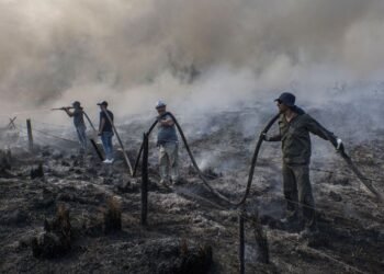 Los incendios en Corrientes «van a impactar en la ganadería argentina», dijo Domínguez