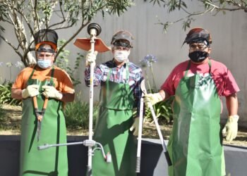 Articulan programas para fortalecer a productores de la economía social