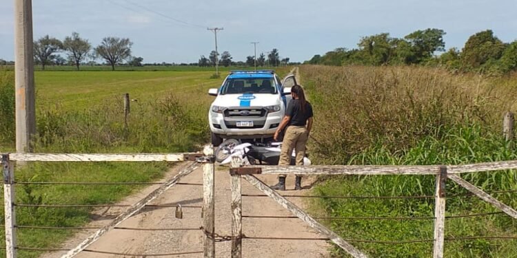 En operativo conjunto, atraparon al ladrón de una motocicleta