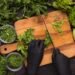 Nueva capacitación en manipulación segura y saludable de alimentos