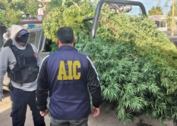 Allanamientos de la AIC en Frontera y San Francisco con resultados positivos