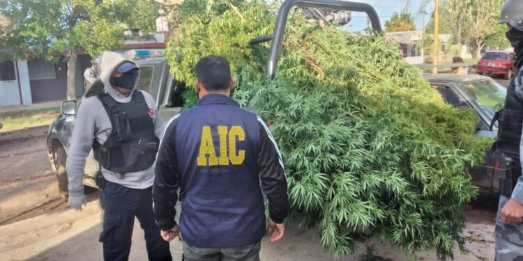 Allanamientos de la AIC en Frontera y San Francisco con resultados positivos